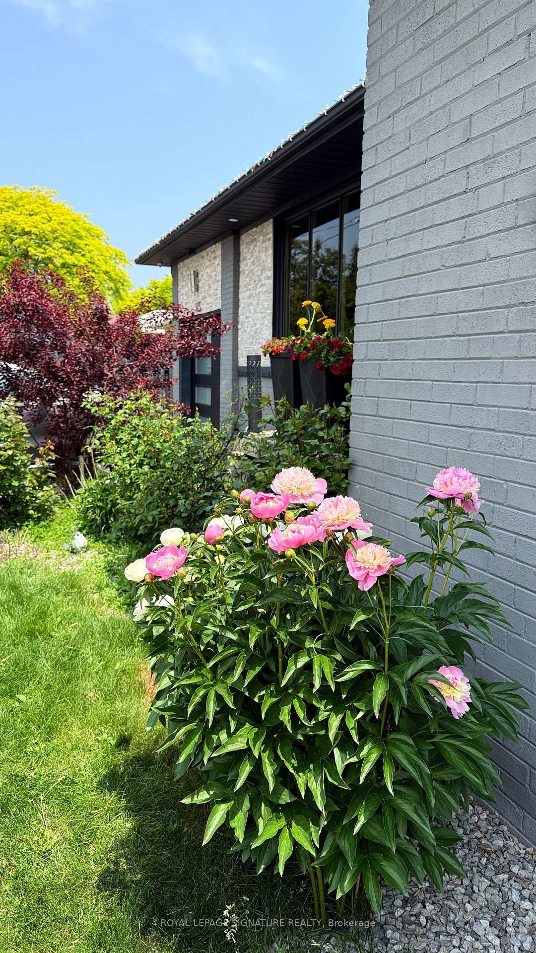 









115


Saturn

Road,
Toronto,




ON
M9C 2S8

