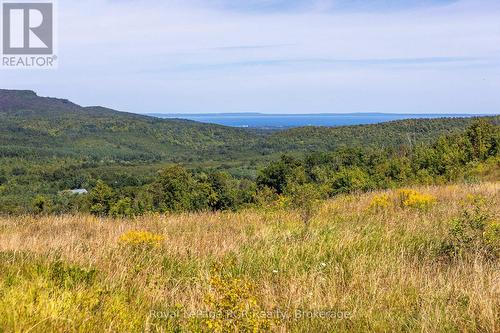 Taken at ground level