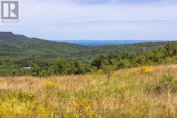 Taken at ground level