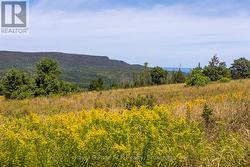 Taken at ground level