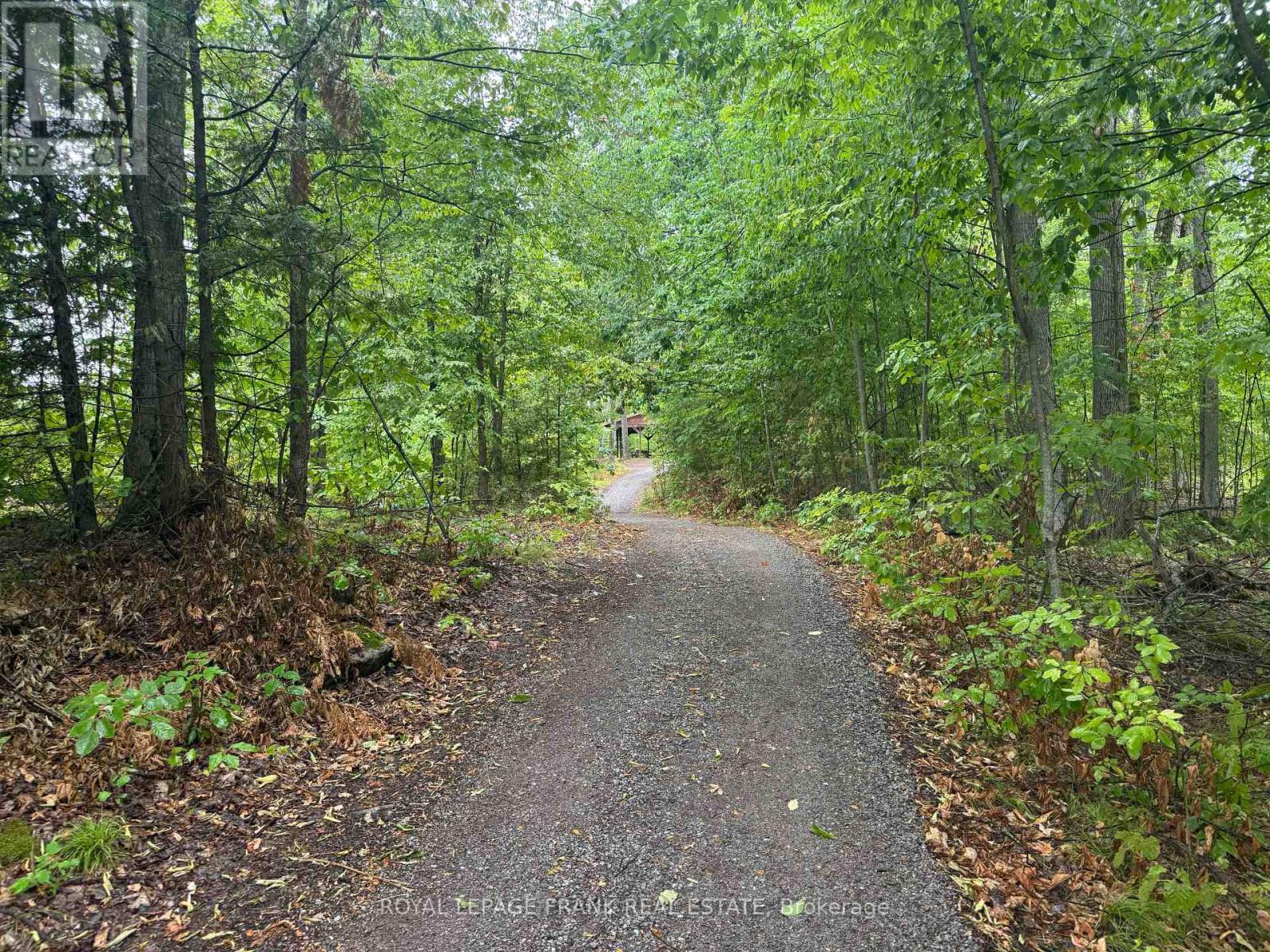












LOT 38 SUMCOT DRIVE

,
Trent Lakes,







Ontario
K0L1J0


