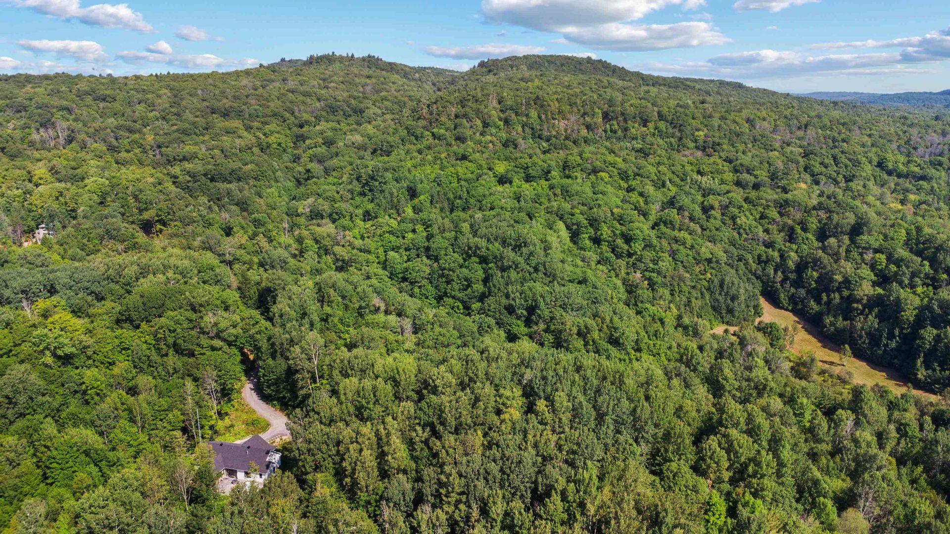 









33


Rue Lajeunesse

,
Sainte-Mélanie,




QC
J0K3A0

