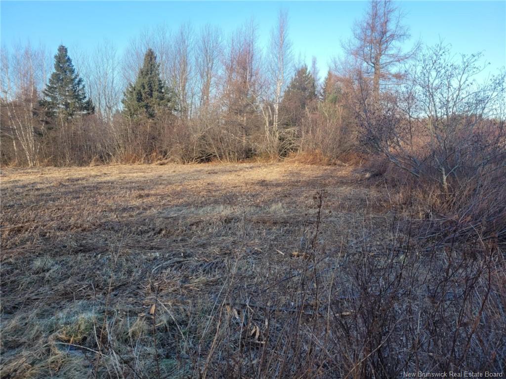 









10665


Principale

,
Saint-Louis-De-Kent,







NB
E4X 1G3

