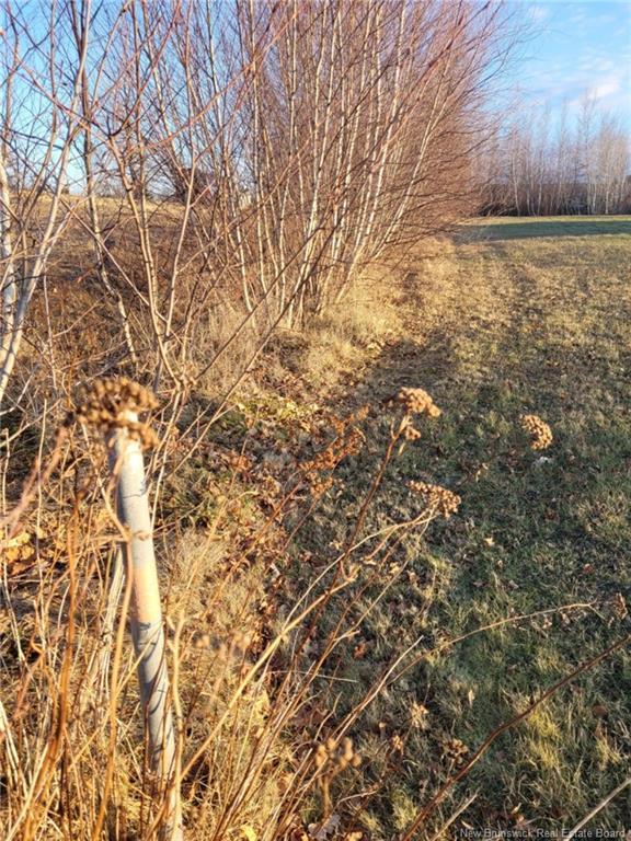 









10665


Principale

,
Saint-Louis-De-Kent,







NB
E4X 1G3

