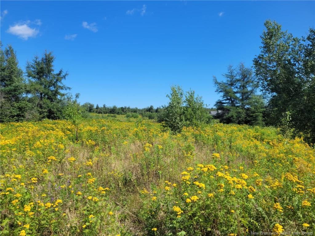 









10665


Principale

,
Saint-Louis-De-Kent,







NB
E4X 1G3

