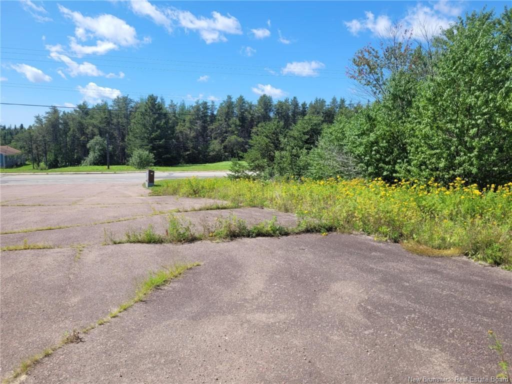 









10665


Principale

,
Saint-Louis-De-Kent,







NB
E4X 1G3

