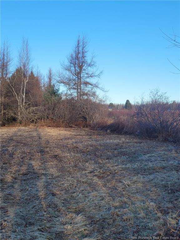 









10665


Principale

,
Saint-Louis-De-Kent,







NB
E4X 1G3


