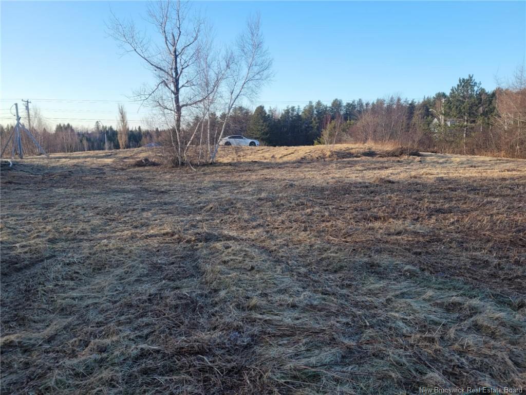 









10665


Principale

,
Saint-Louis-De-Kent,







NB
E4X 1G3


