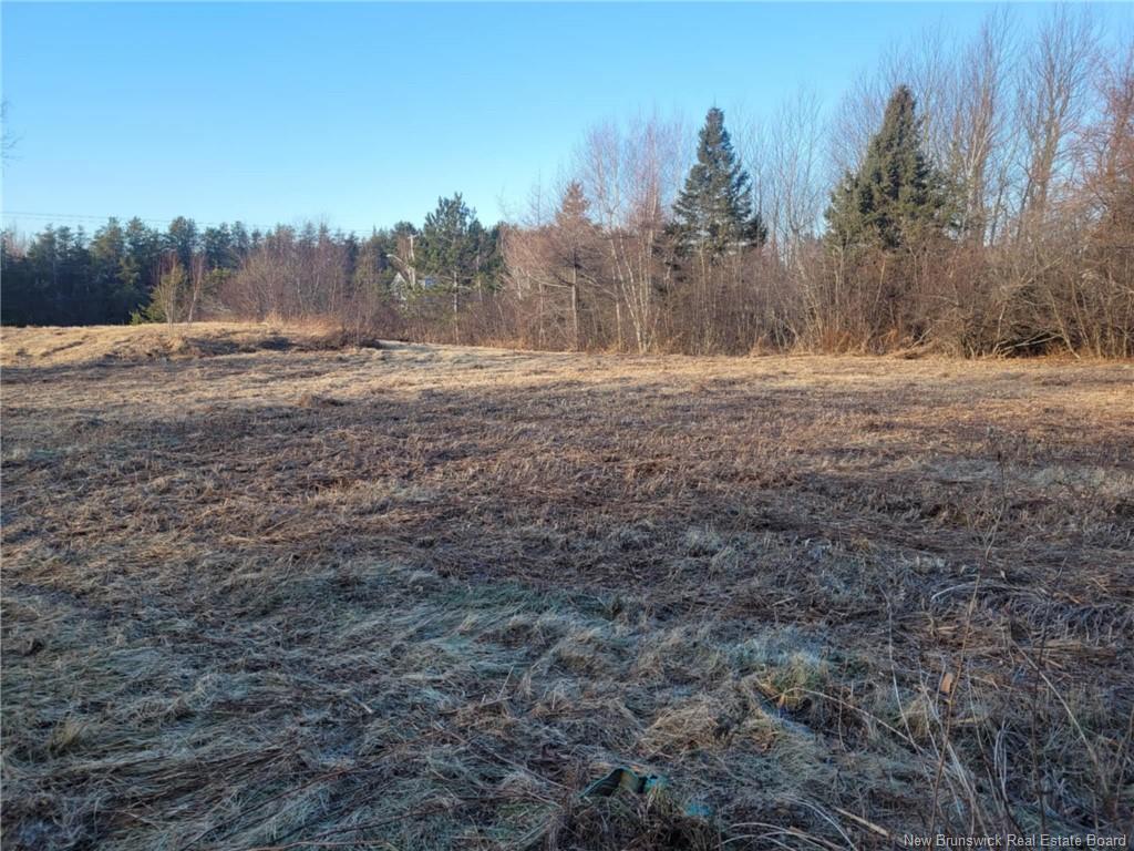 









10665


Principale

,
Saint-Louis-De-Kent,







NB
E4X 1G3

