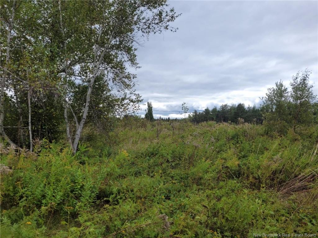 









10665


Principale

,
Saint-Louis-De-Kent,







NB
E4X 1G3

