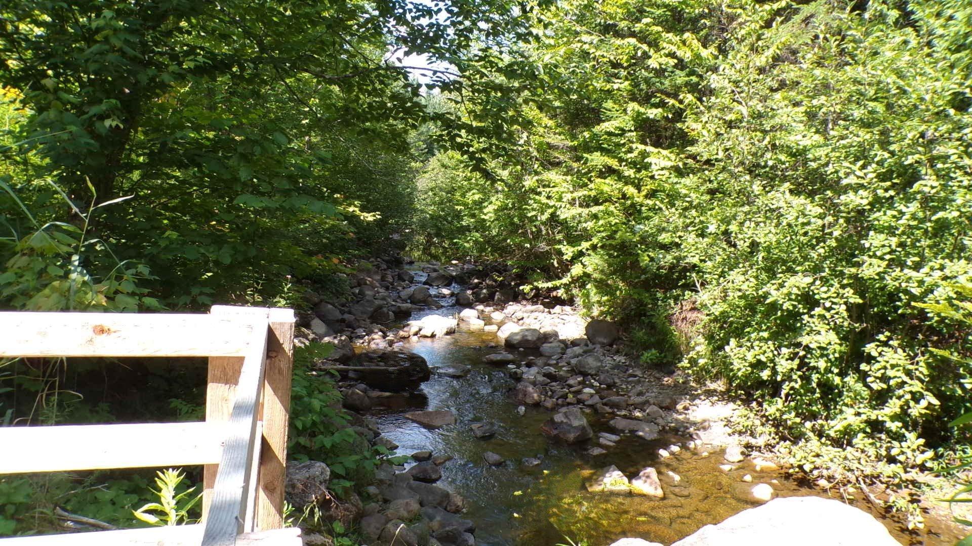 









6154


Route 125

,
Rawdon,




QC
J0K1S0

