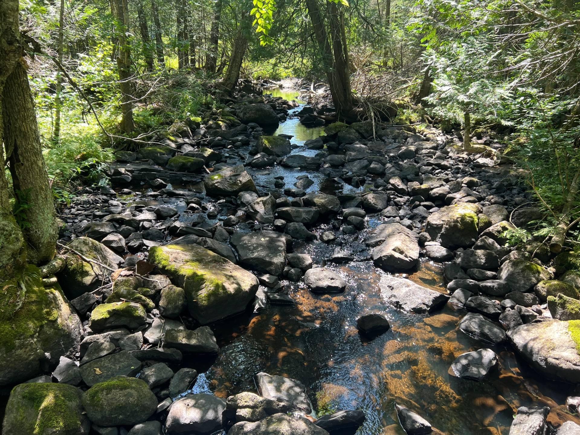 









3691


Ch. Lundon

,
Wentworth-Nord,




QC
J0T1Y0

