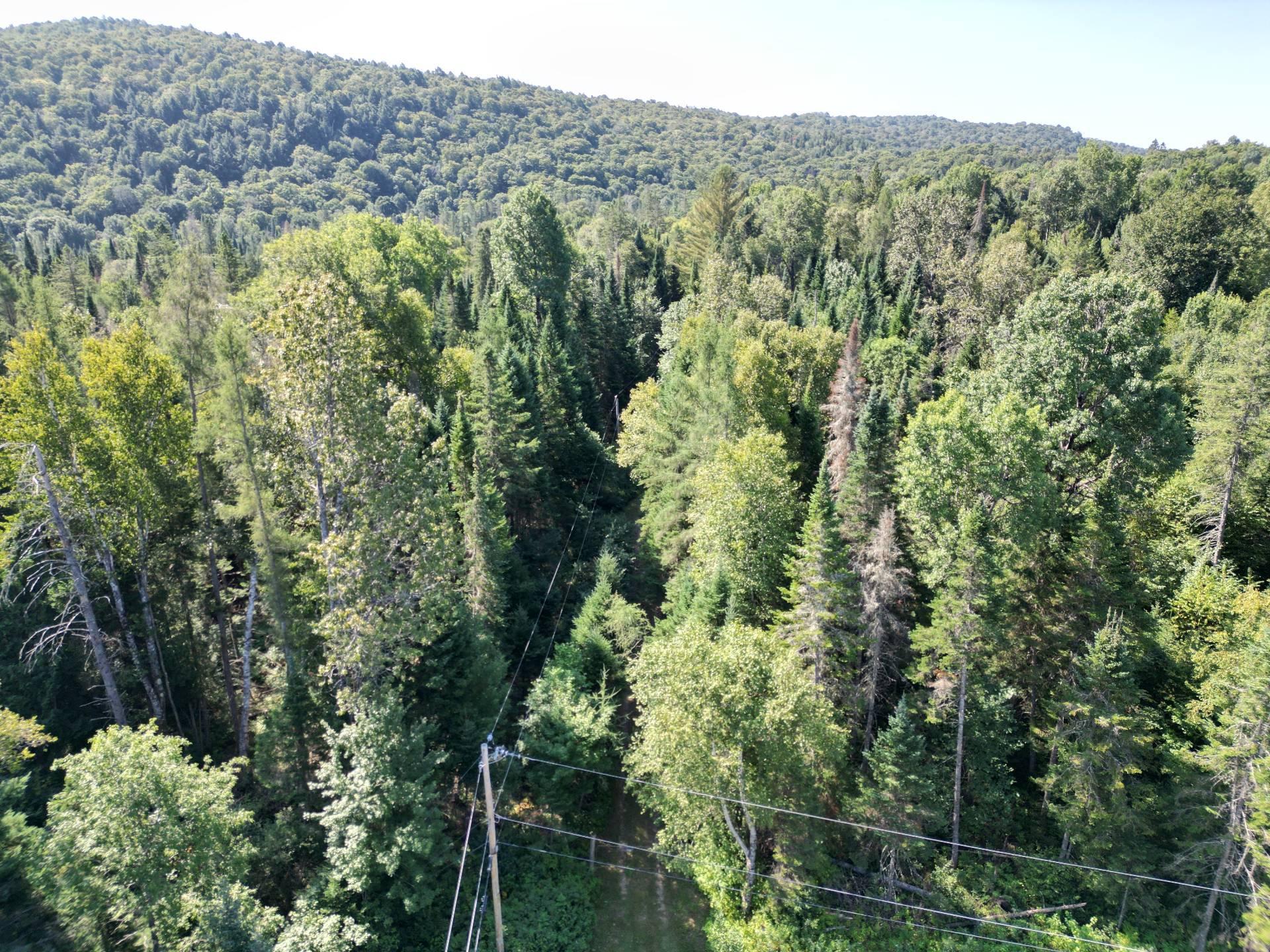 









3691


Ch. Lundon

,
Wentworth-Nord,




QC
J0T1Y0


