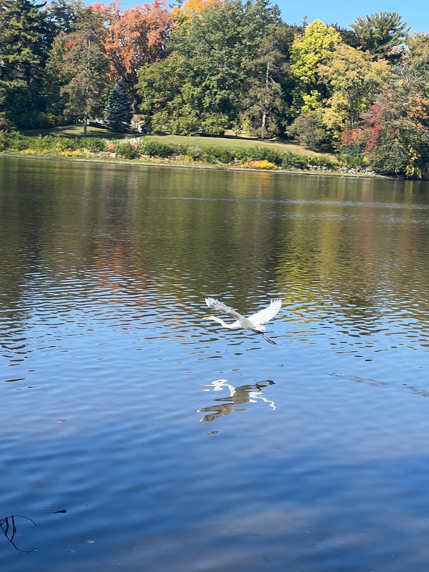 









13


Rue Alfred

,
Laval (Sainte-Rose),




QC
H7L2G8

