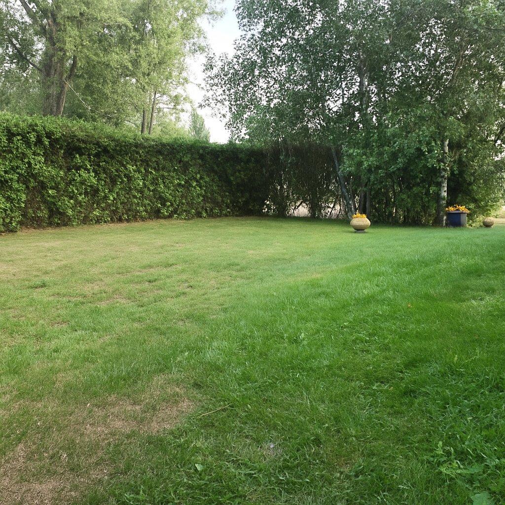 









3165


Rue Diane

,
Terrebonne (Terrebonne),




QC
J6Y1A2

