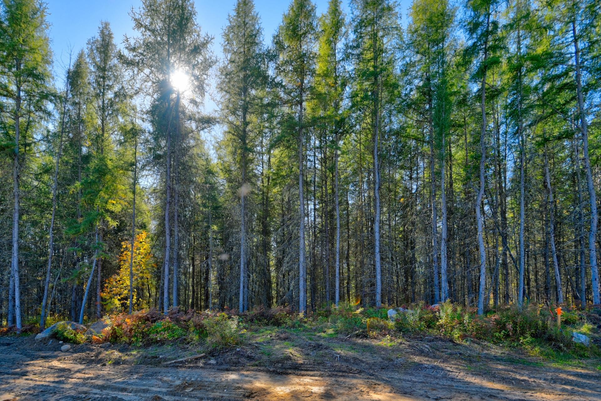 












Ch. de la Belle Dame

, 4,
Saint-Michel-des-Saints,







QC
J0K3B0

