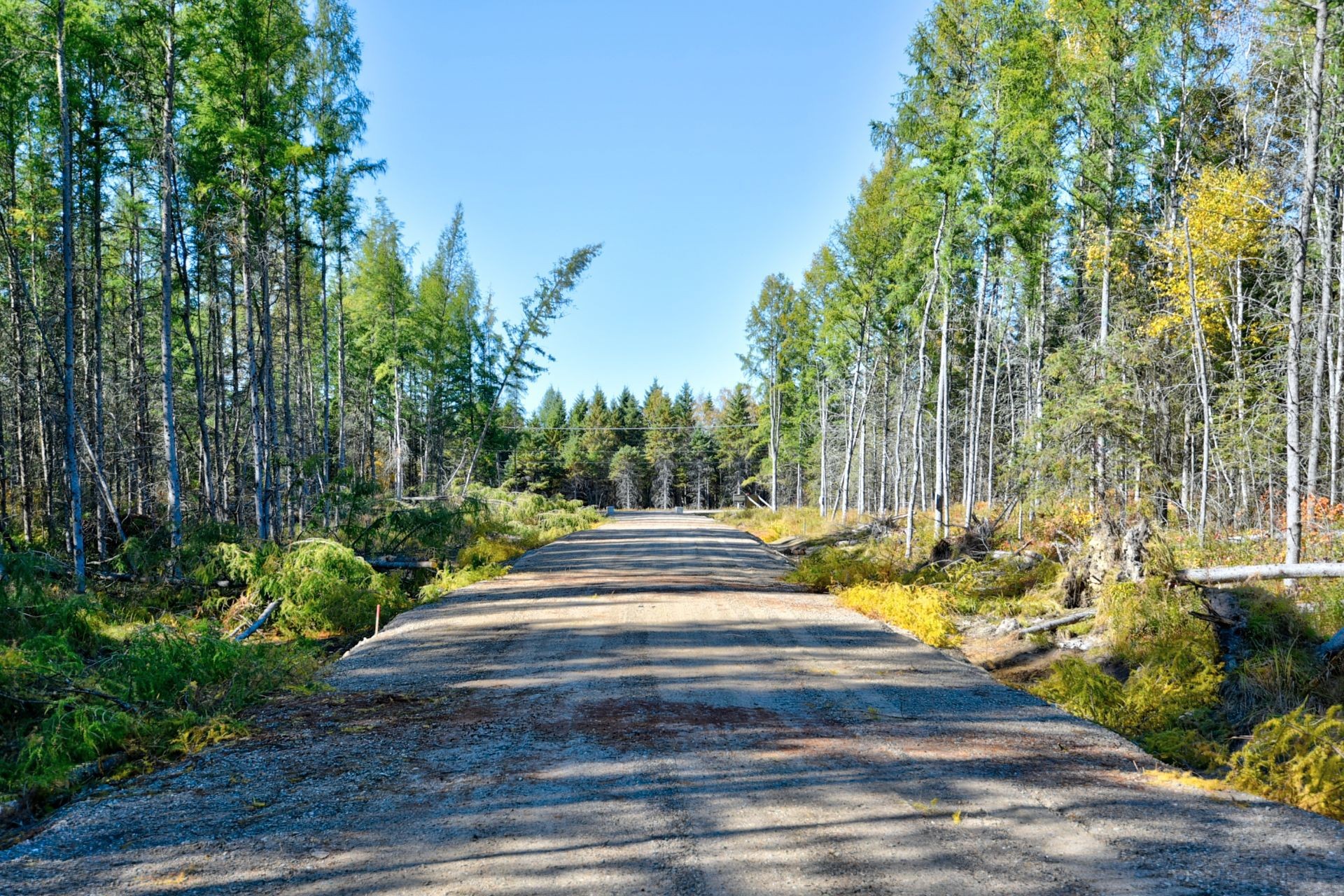 












Ch. de la Belle Dame

, 9,
Saint-Michel-des-Saints,







QC
J0K3B0

