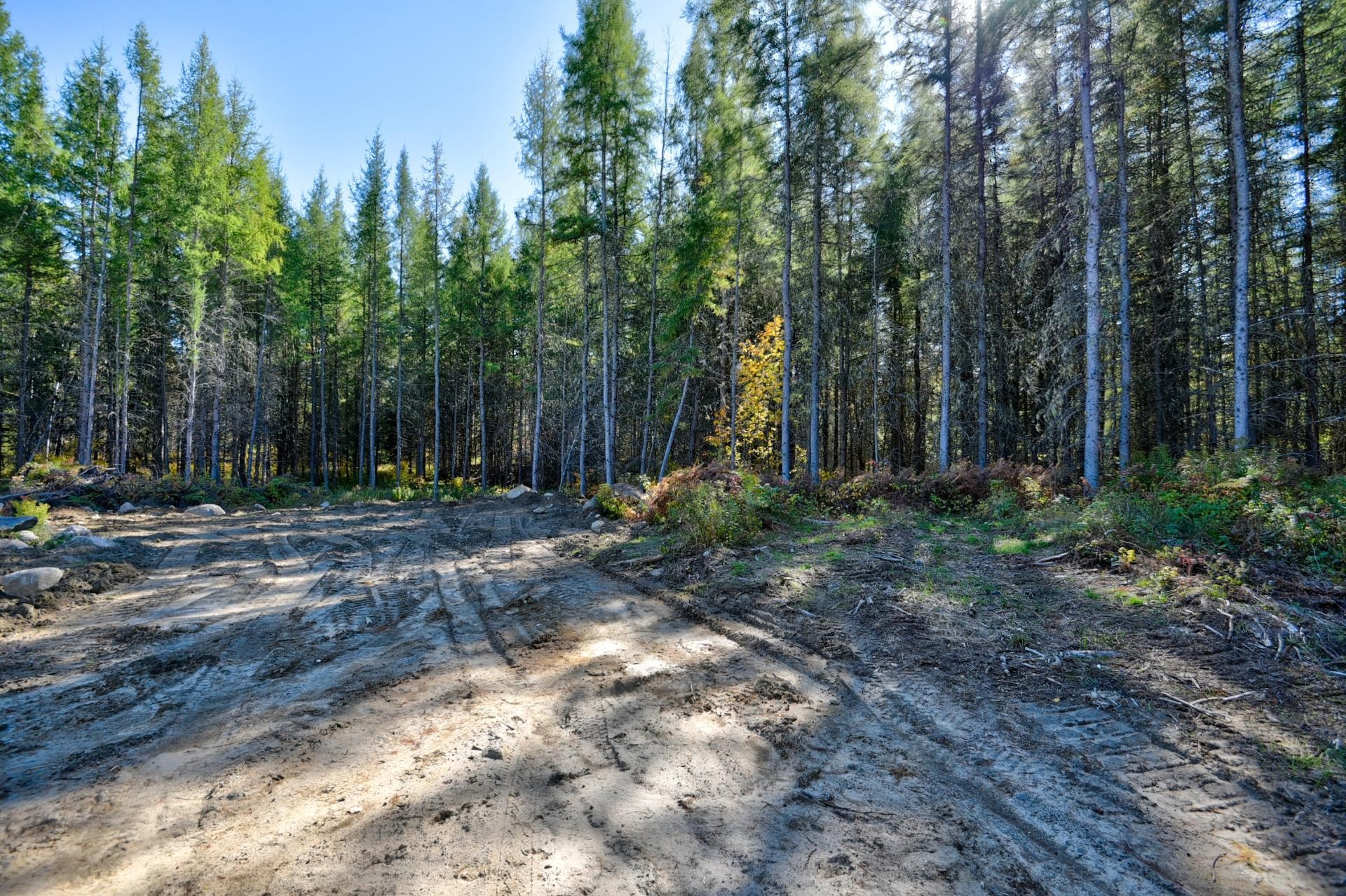 












Ch. de la Belle Dame

, 11,
Saint-Michel-des-Saints,







QC
J0K3B0


