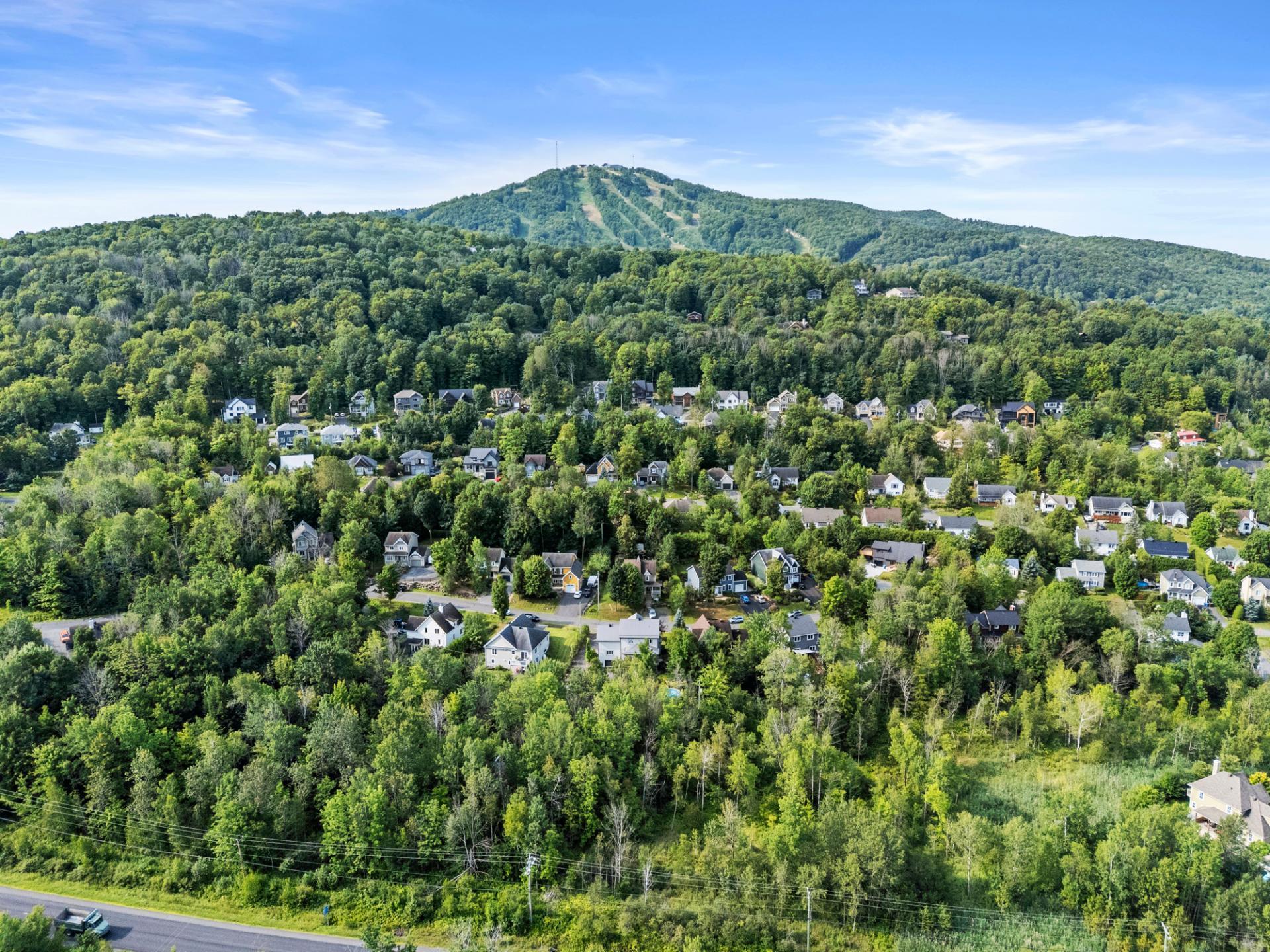 









182


Rue de Saguenay

,
Bromont,




QC
J2L2H8

