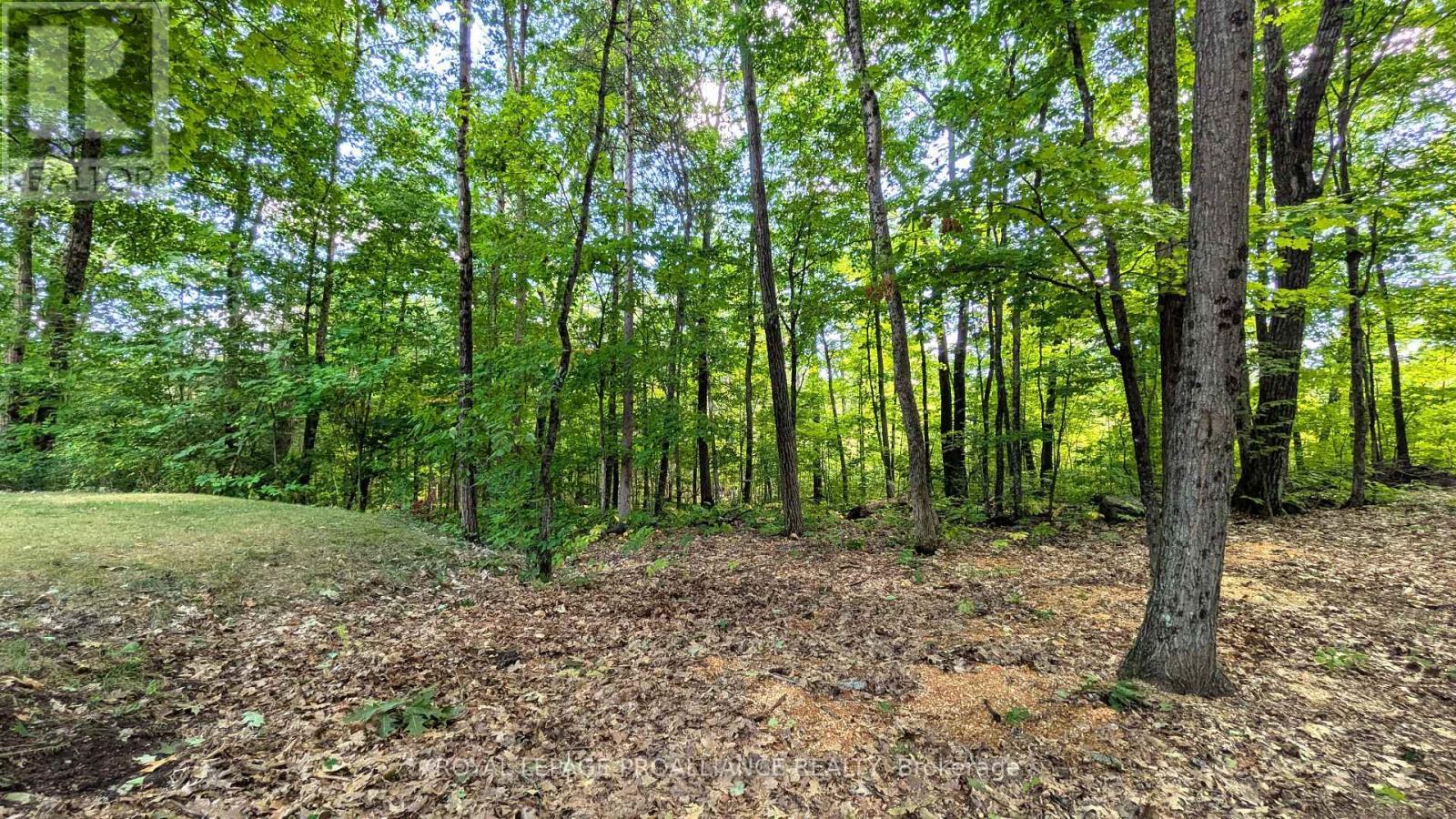 












145 MAPLE ROAD

,
Marmora and Lake (Marmora Ward),




Ontario
K0K2M0

