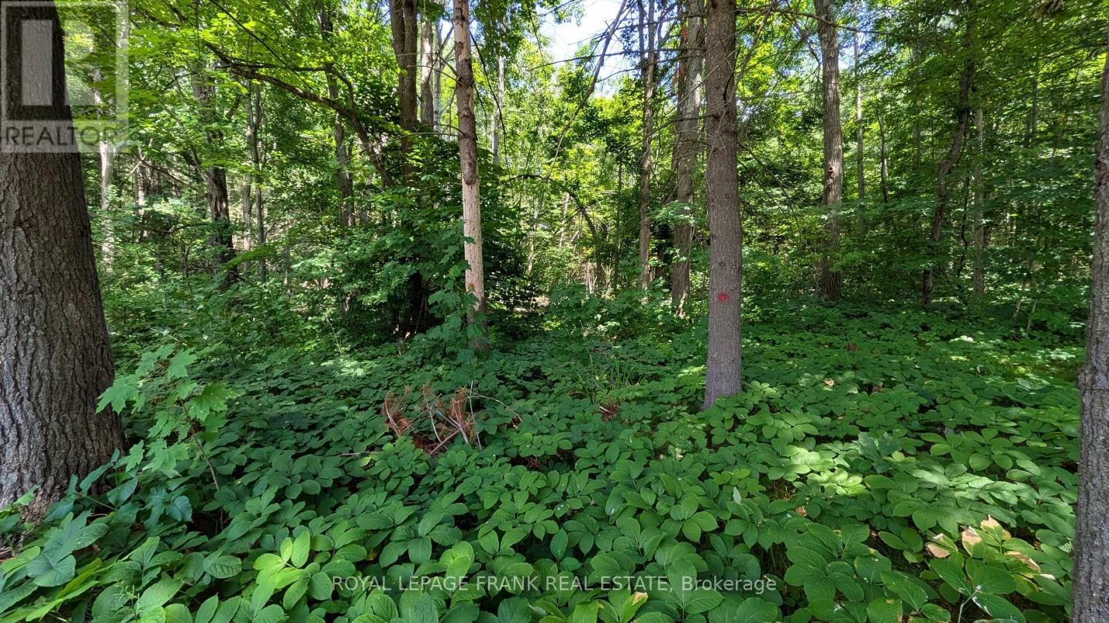 












83 BELMONT STREET

,
Havelock-Belmont-Methuen (Belmont-Methuen),




Ontario
K0L1Z0

