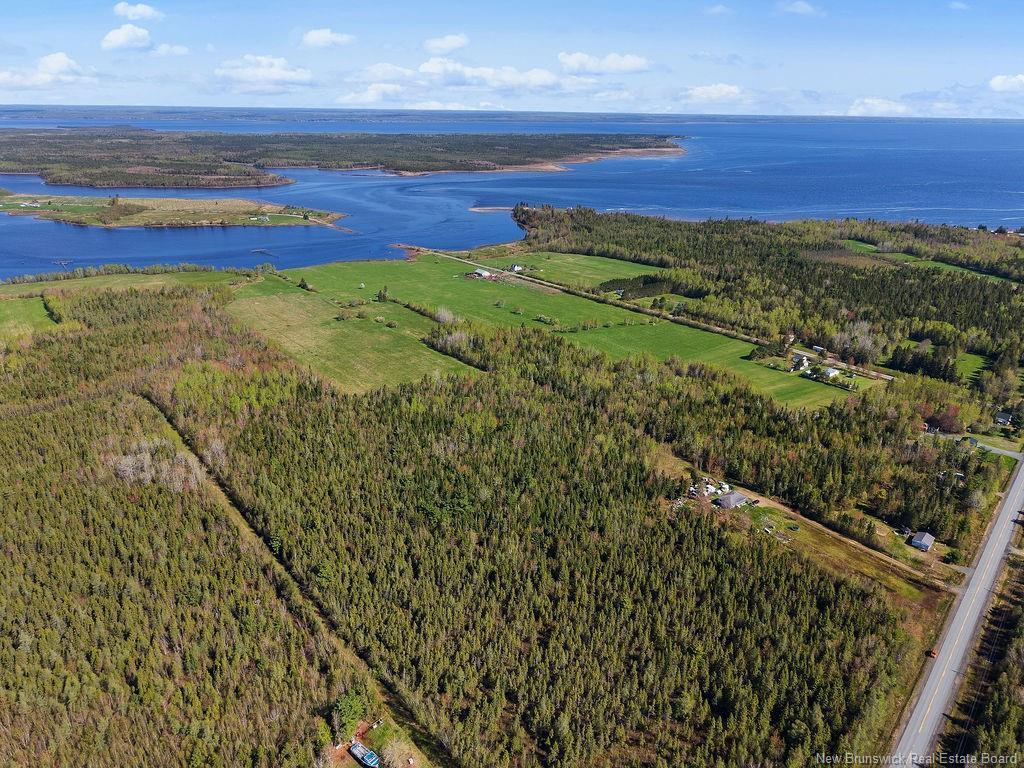 









Lot


Route 117

,
Black River Bridge,







NB
E1M 5M9

