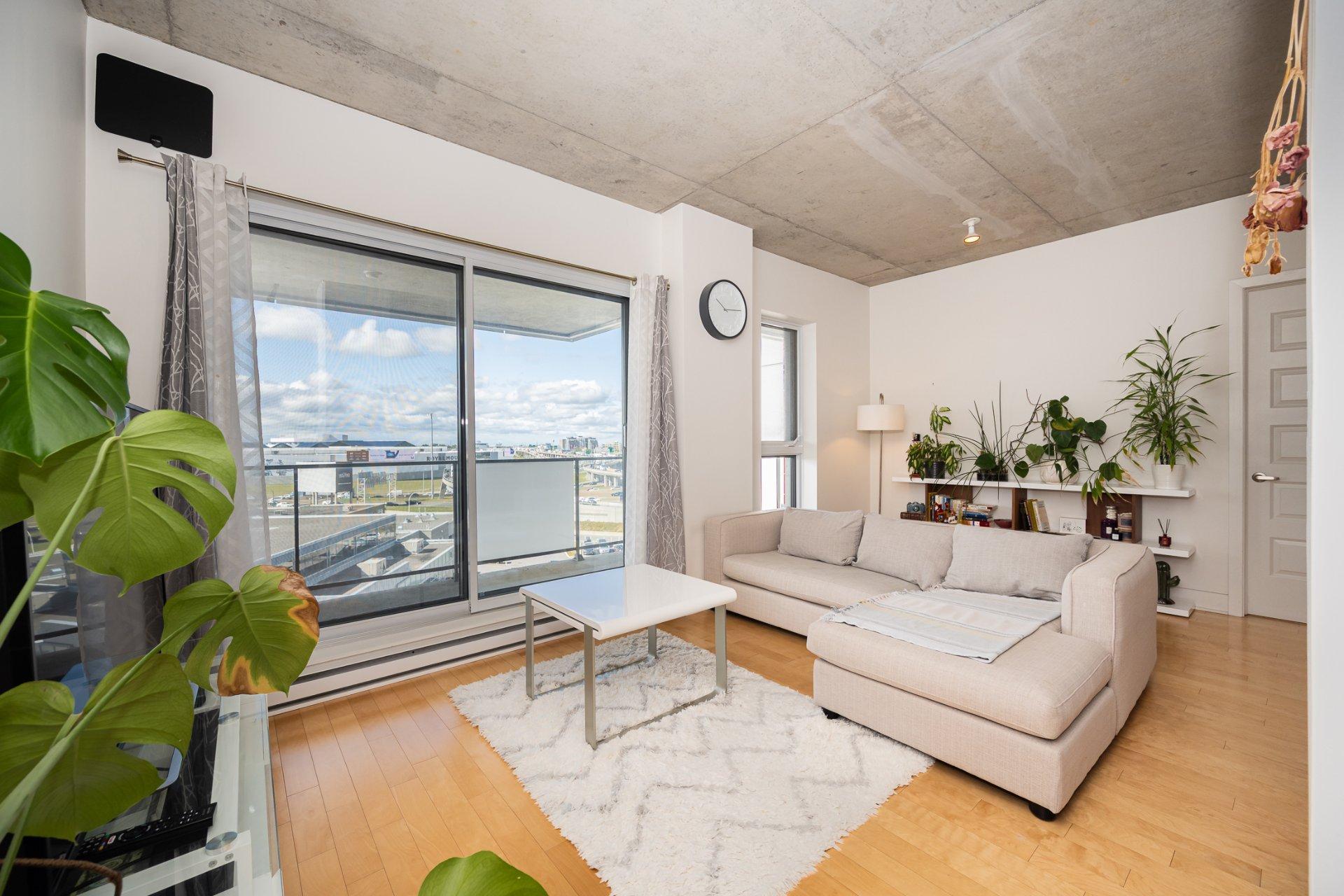 









2335


Ch. Manella

, 706,
Mont-Royal,




QC
H4P0B3

