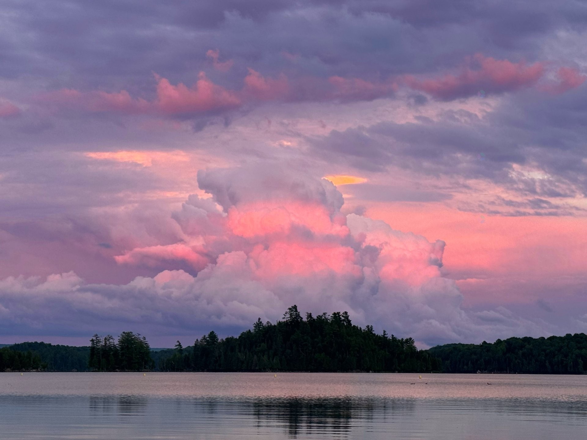 









42


Ch. Higgins

,
Low,




QC
J0X2C0

