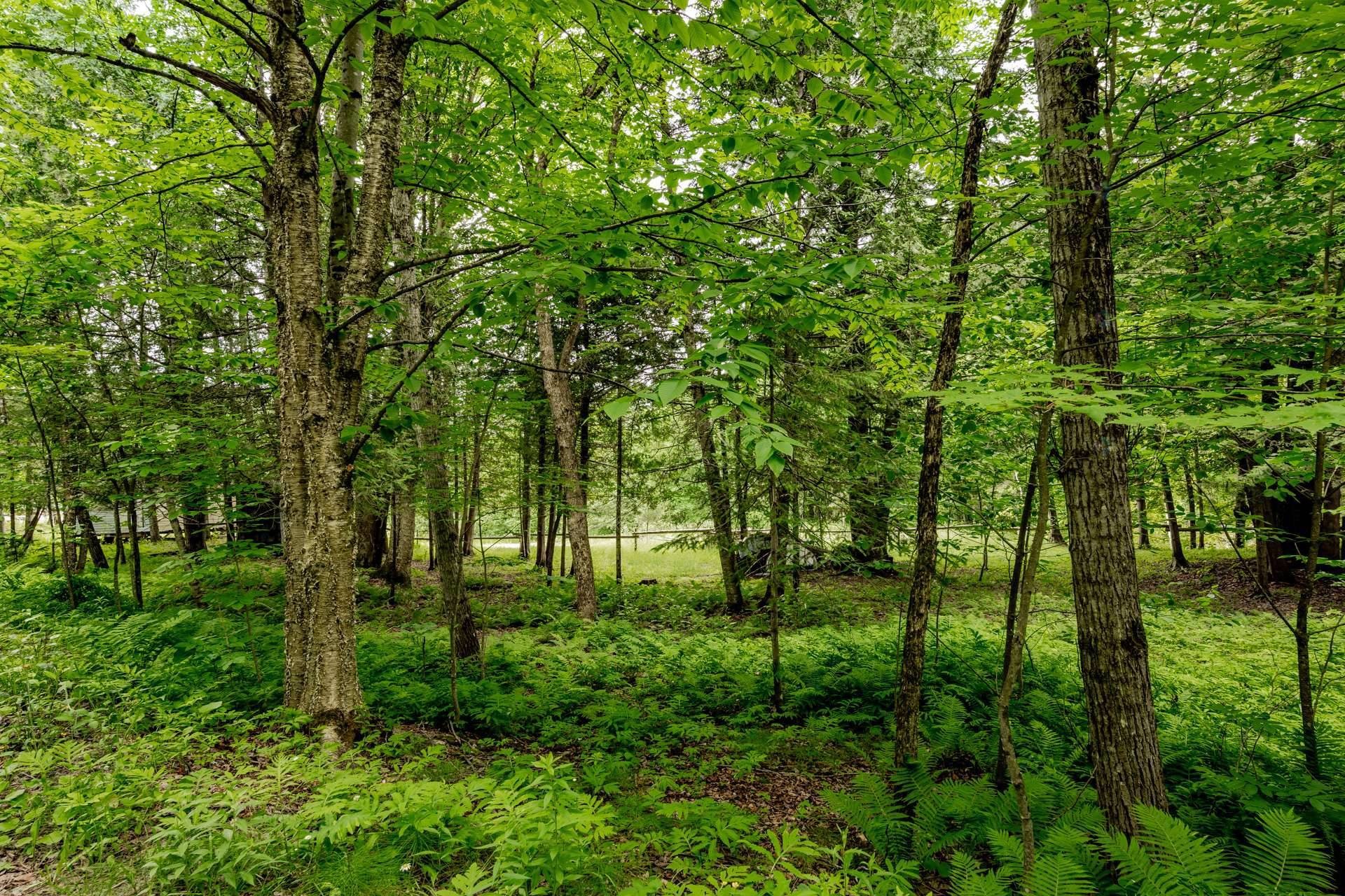 












Ch. de Hyatt's-Mills

,
Compton,







QC
J0B1L0

