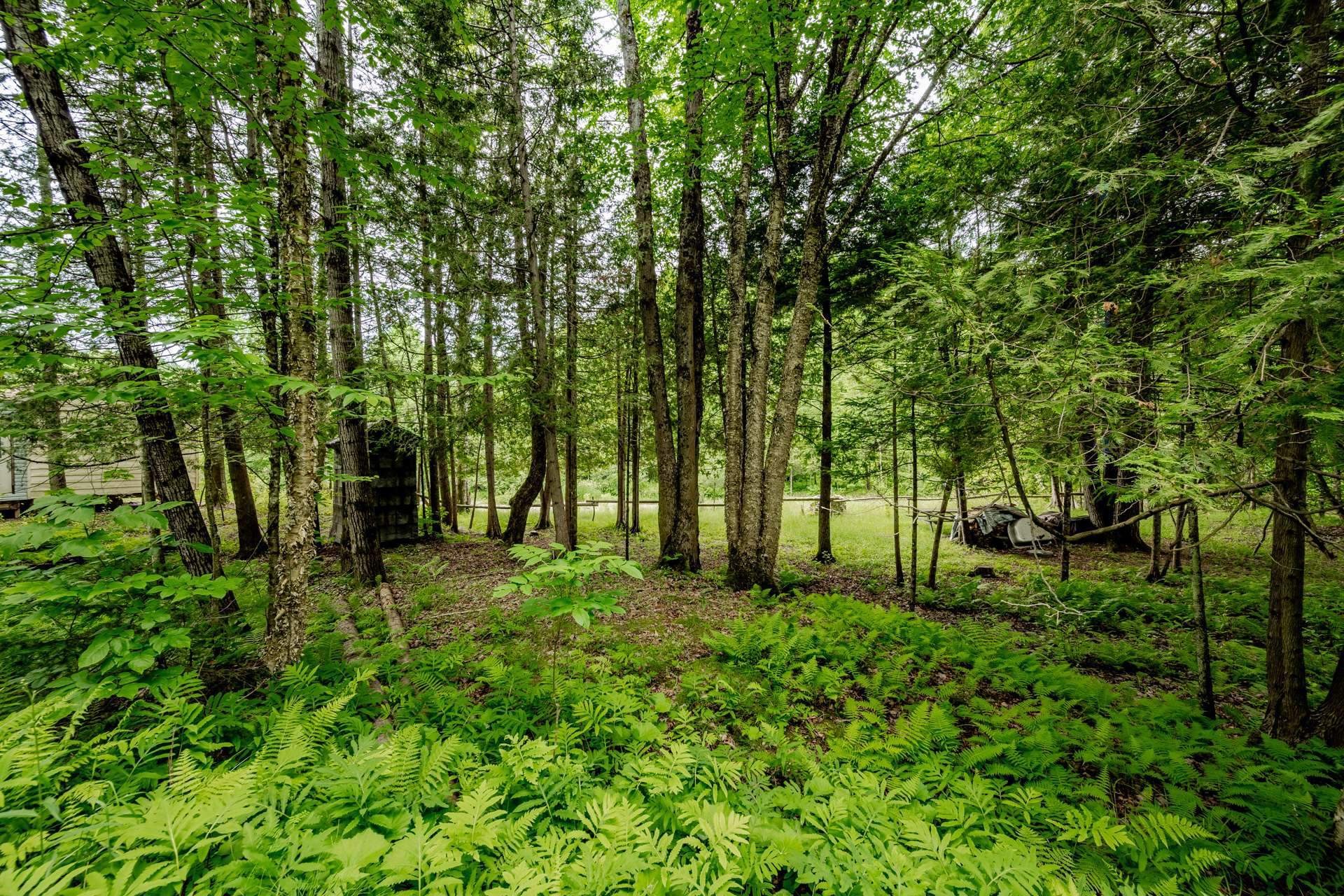 












Ch. de Hyatt's-Mills

,
Compton,







QC
J0B1L0

