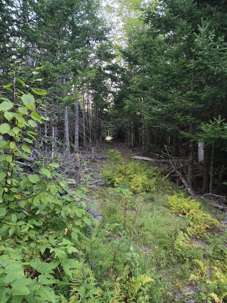 












Union 1 Road Greenfield

,
Greenfield,







NS
B6L 4L8

