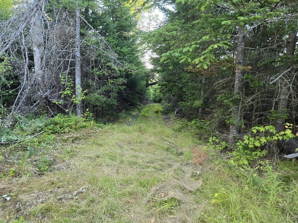 












Union 1 Road Greenfield

,
Greenfield,







NS
B6L 4L8

