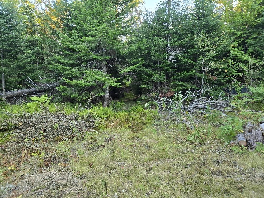 












Union 1 Road Greenfield

,
Greenfield,







NS
B6L 4L8

