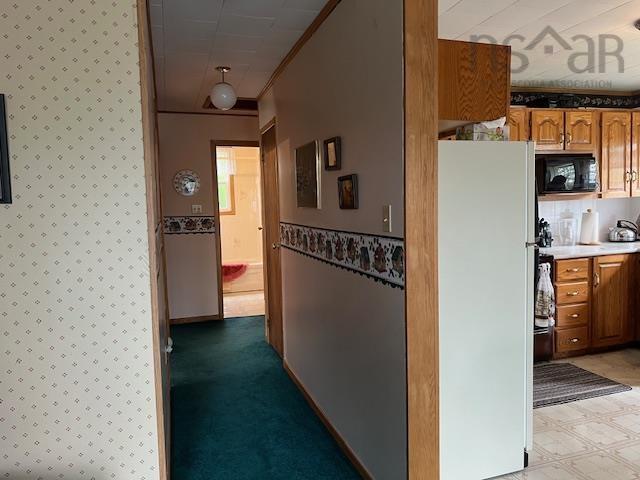 












608 Mushaboom Road

,
Mushaboom,







NS
B0J 3H0

