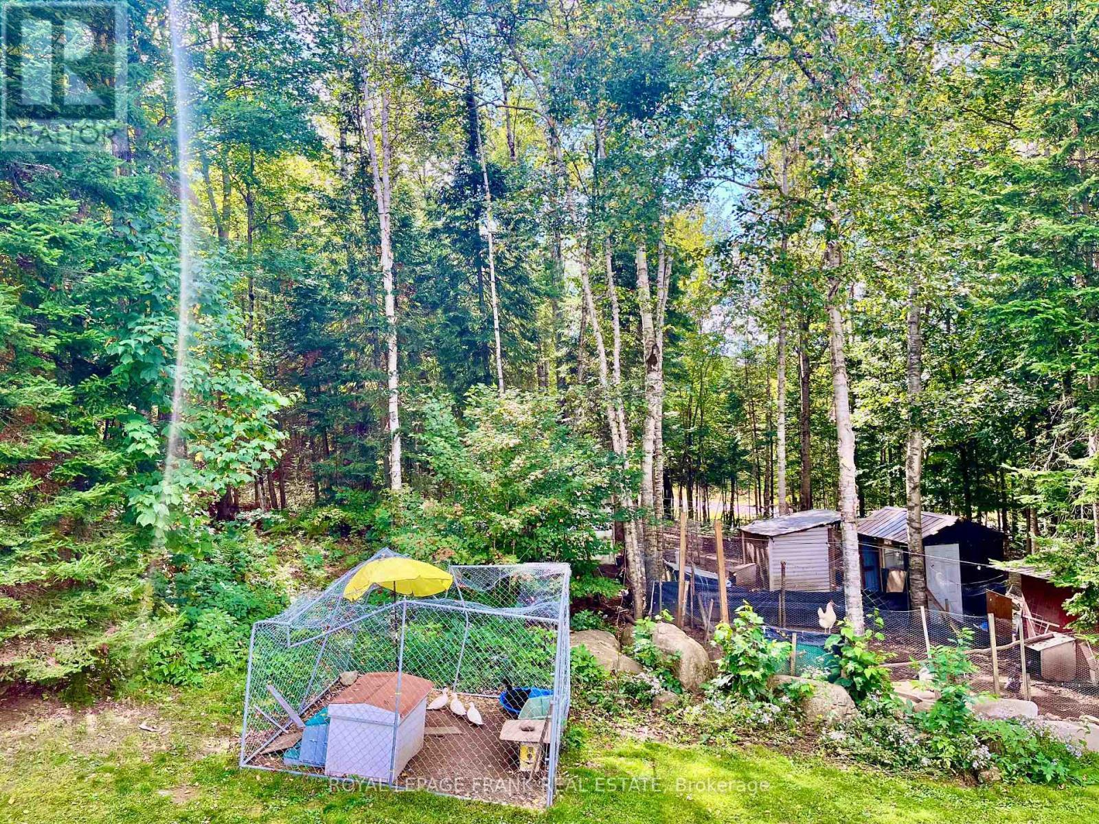 












1630 MUSCLOW GREENVIEW ROAD

,
Hastings Highlands (Monteagle Ward),




Ontario
K0L1C0

