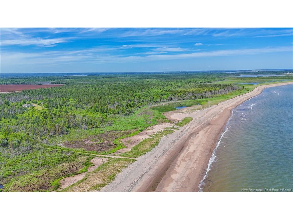









373


de la Cedrière

RD,
Rivière-Du-Portage,




NB
E9H 1T9

