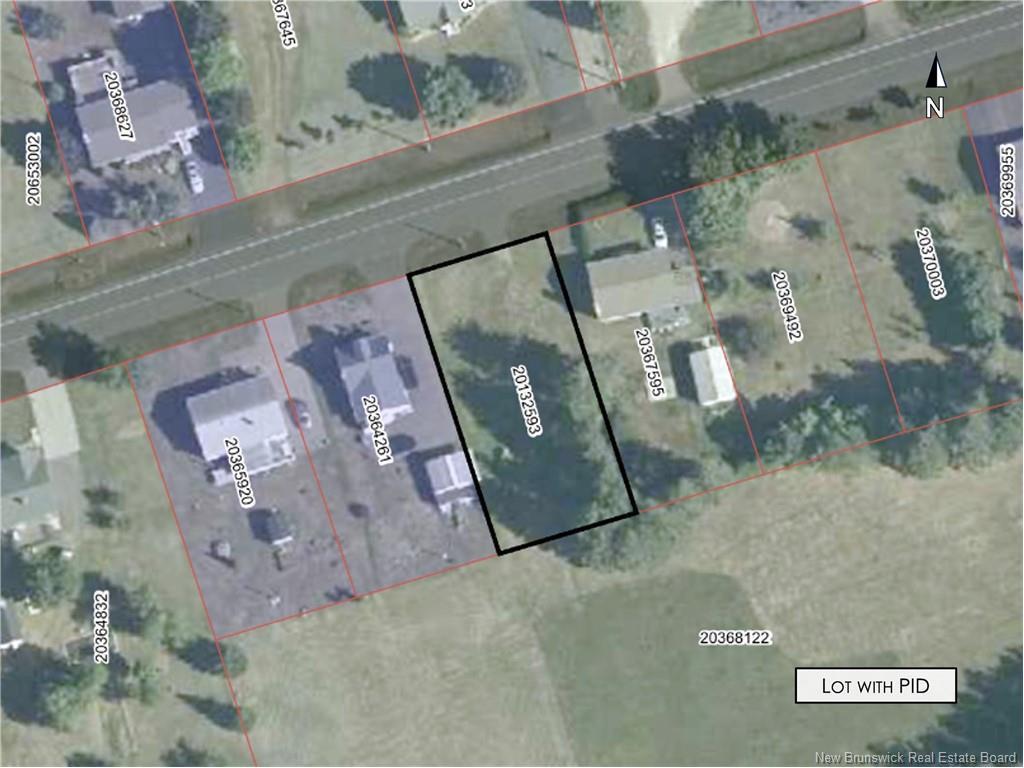 









596


Basque

ST,
Tracadie,







NB
E1X 1B1

