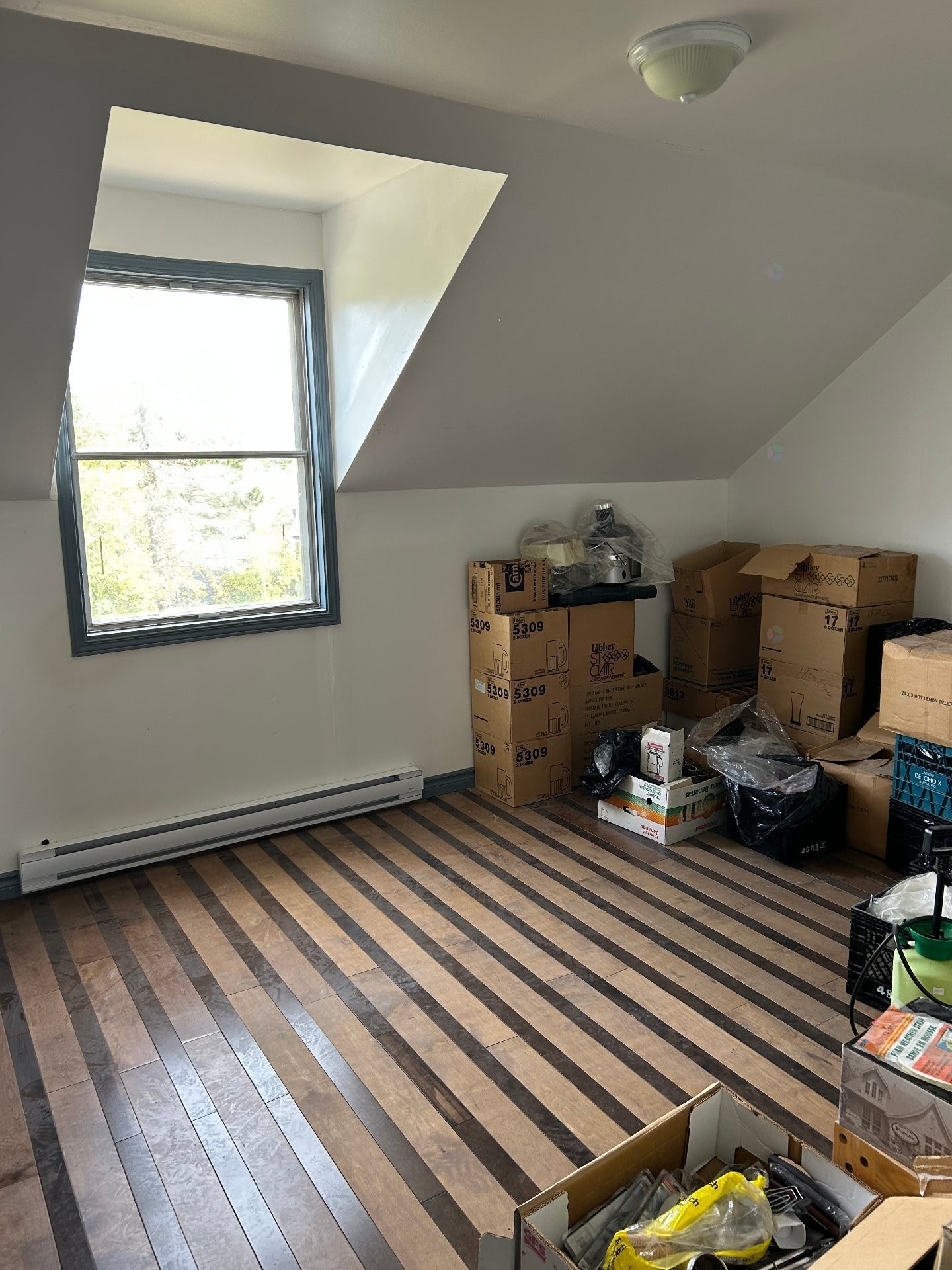 









245


Rue Fournier

,
Sept-Îles,




QC
G0G2B0

