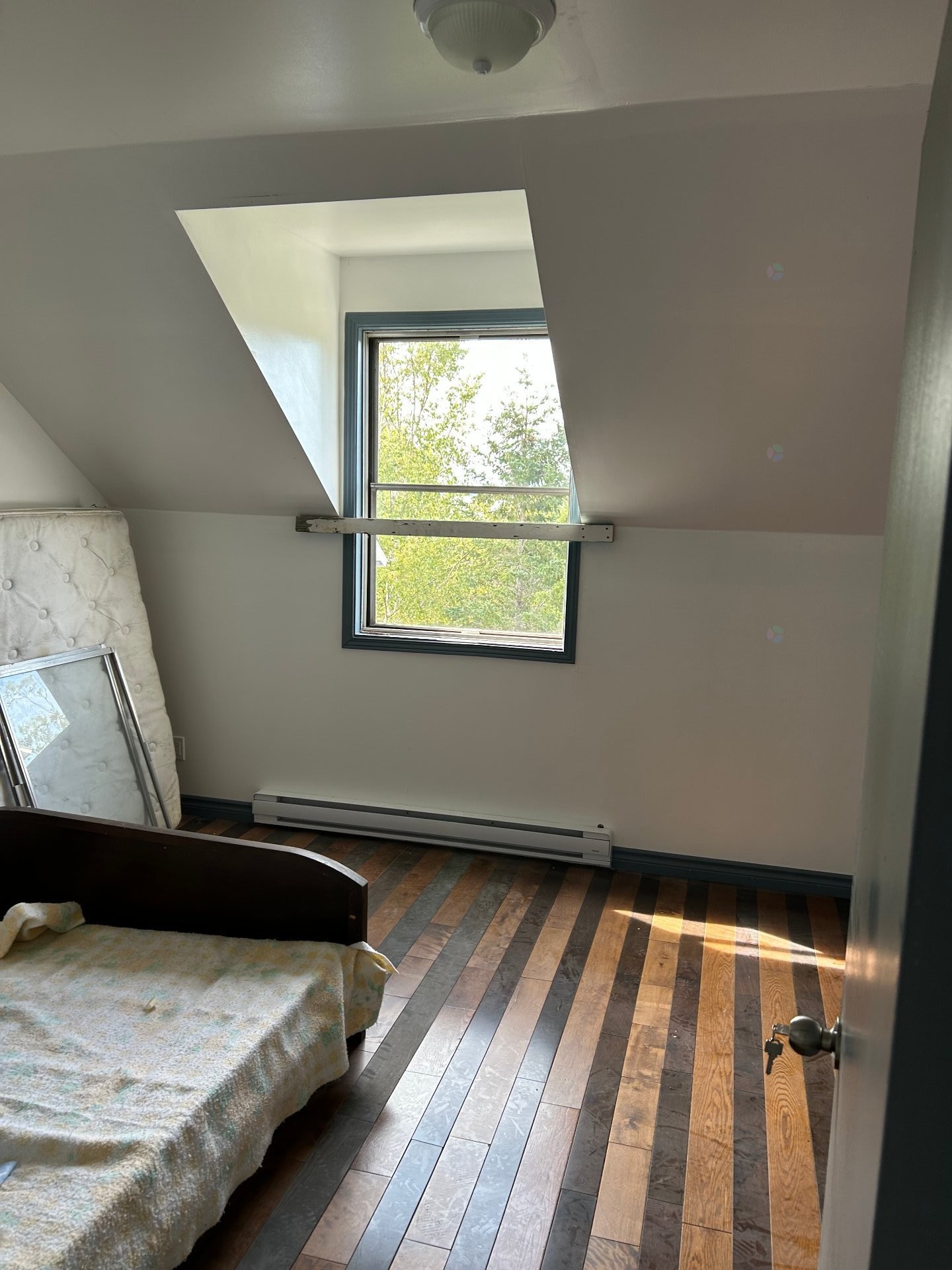 









245


Rue Fournier

,
Sept-Îles,




QC
G0G2B0

