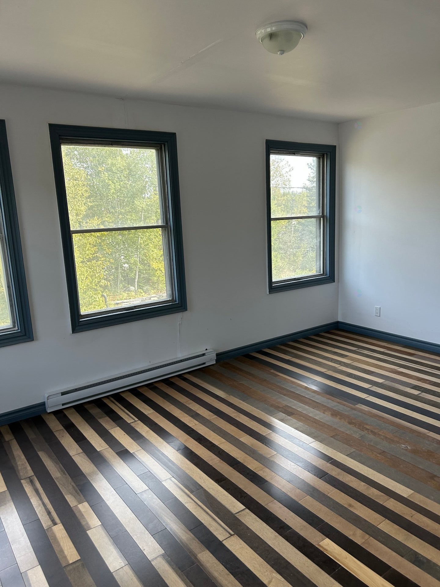 









245


Rue Fournier

,
Sept-Îles,




QC
G0G2B0

