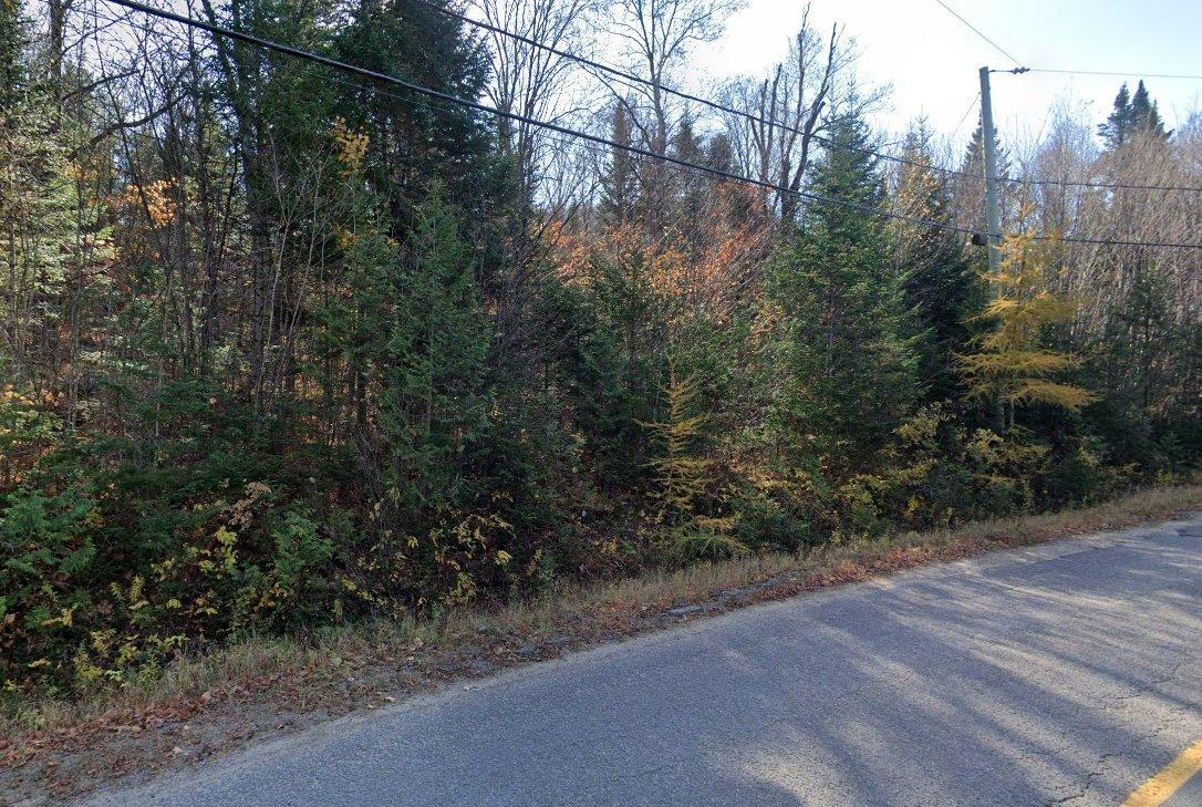 












Ch. Morgan

,
Saint-Adolphe-d'Howard,







QC
J0T2B2

