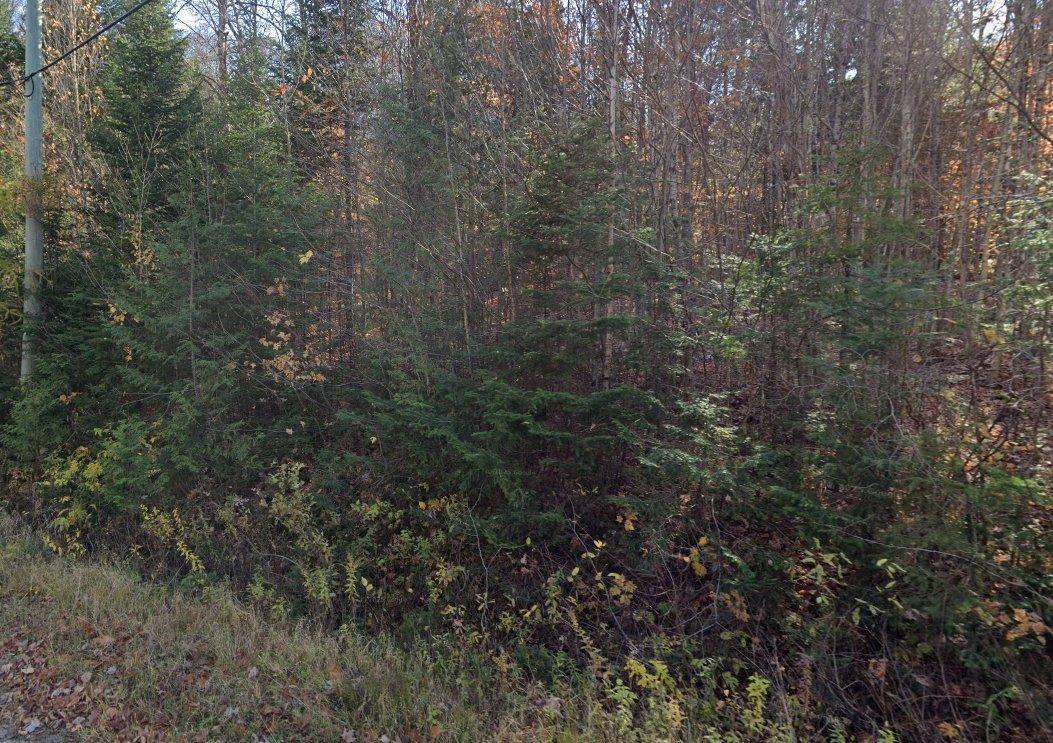 












Ch. Morgan

,
Saint-Adolphe-d'Howard,







QC
J0T2B2

