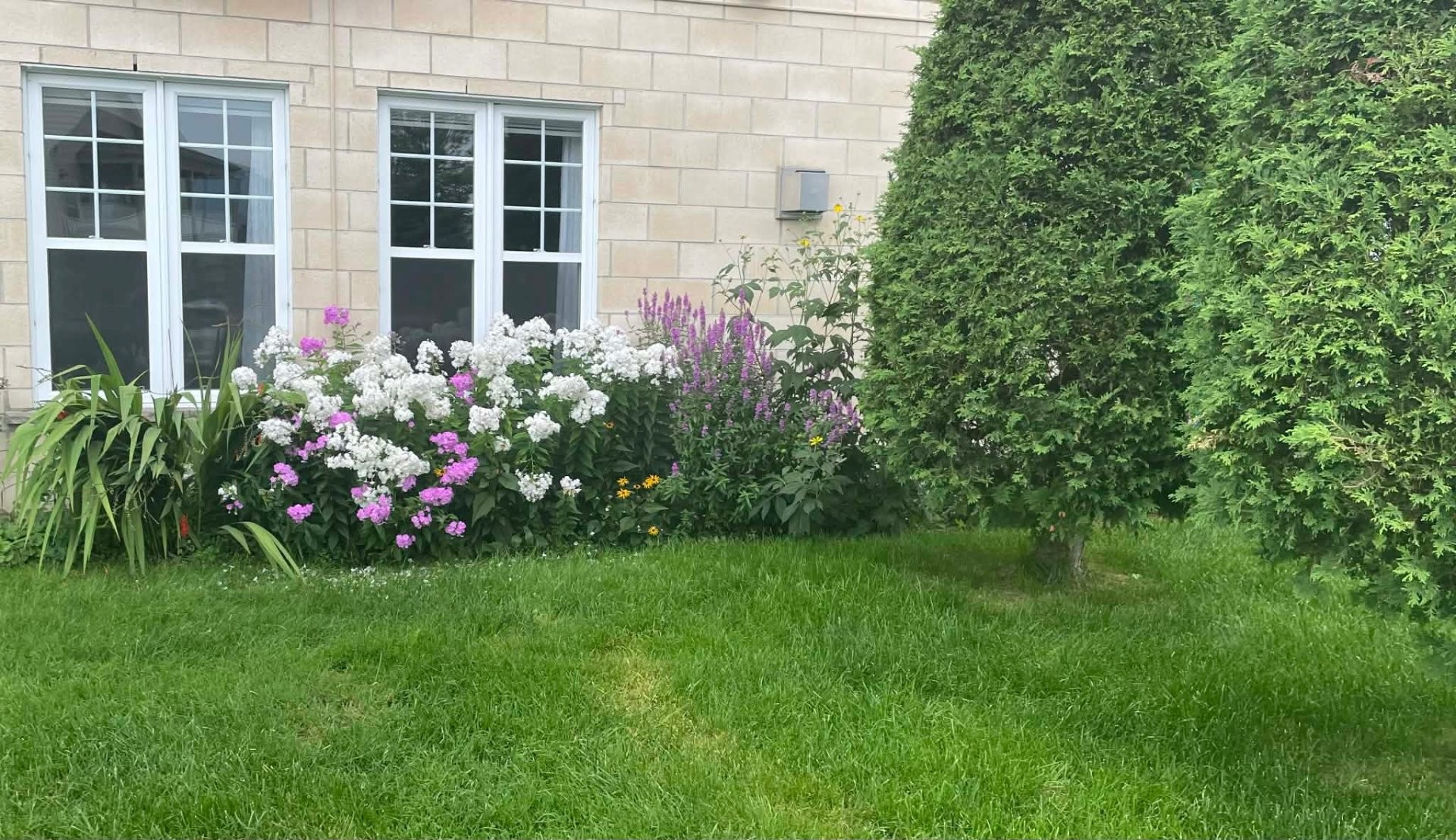 









1063


Rue du Bruant-des-Marais

,
Magog,




QC
J1X7S5

