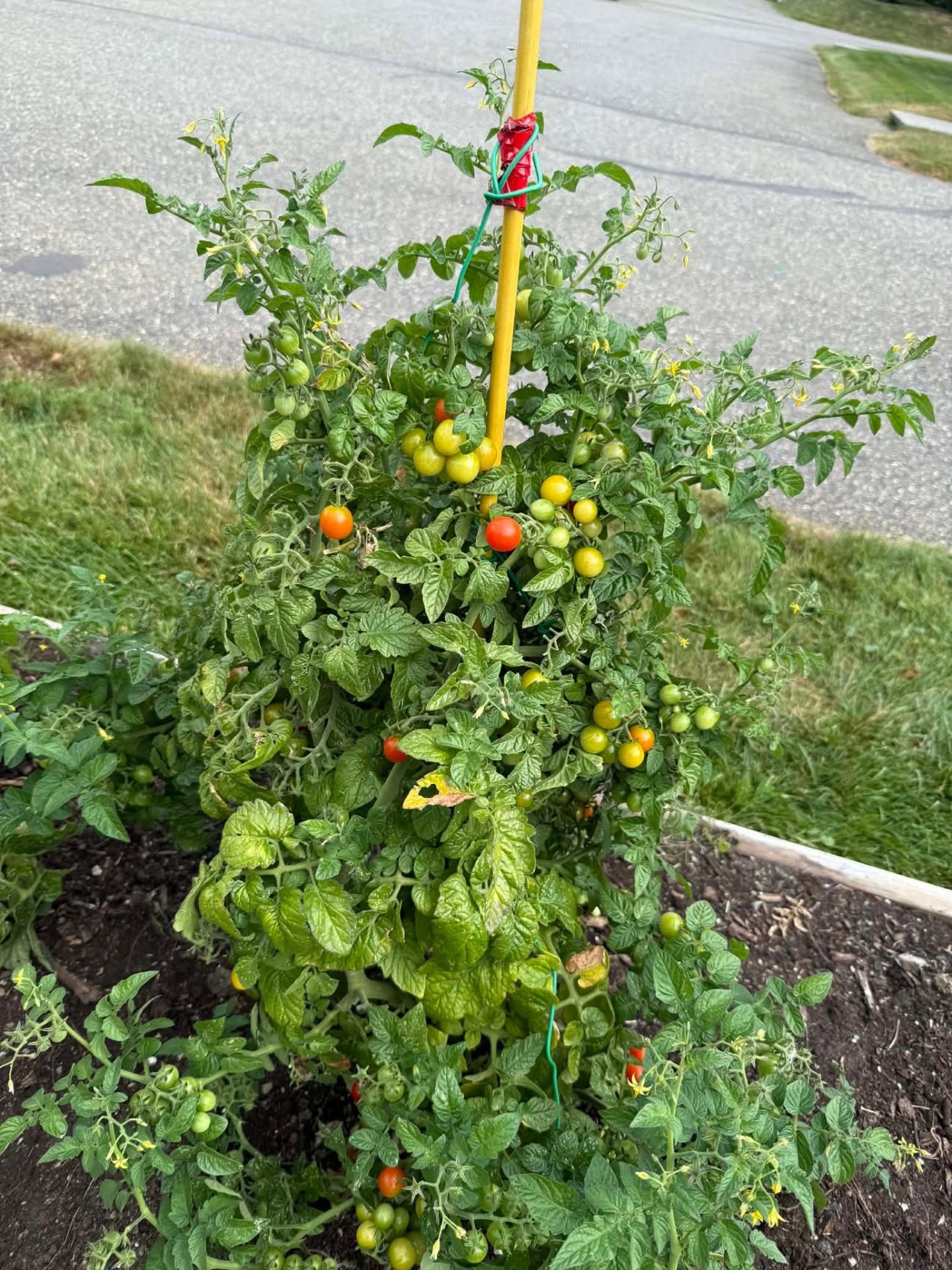 









1063


Rue du Bruant-des-Marais

,
Magog,




QC
J1X7S5

