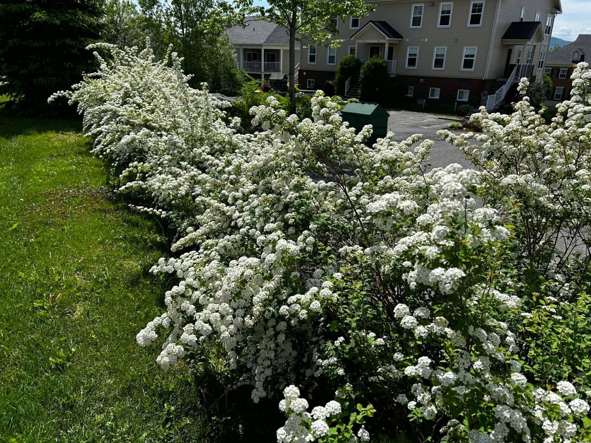 









1063


Rue du Bruant-des-Marais

,
Magog,




QC
J1X7S5

