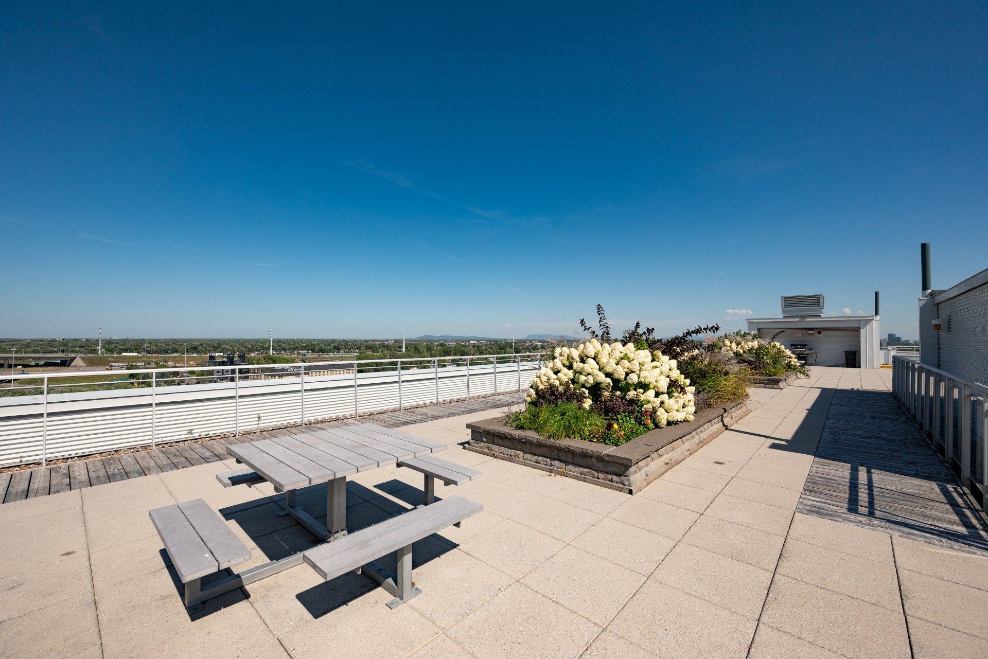 









7620


Boul. Marie-Victorin

, 109,
Brossard,




QC
J4W1B2

