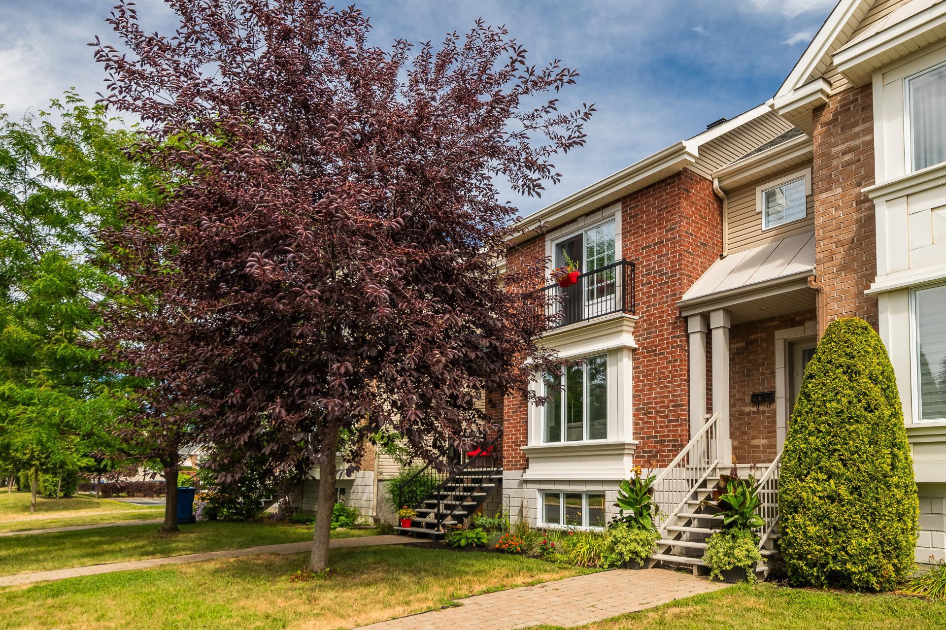









518


Rue François-V.-Malhiot

, 22,
Boucherville,




QC
J4B0H1

