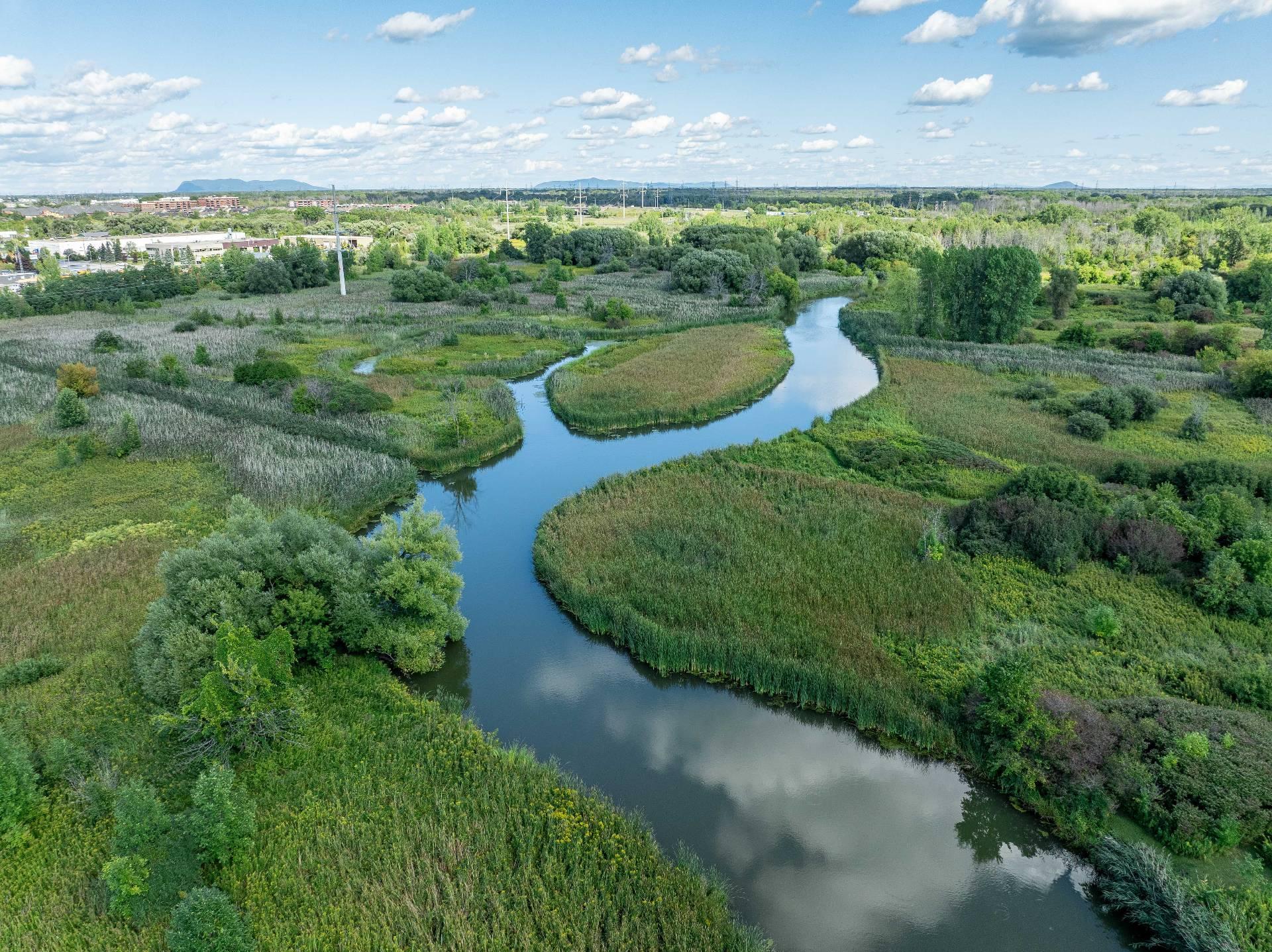 









155


Rue des Hérons

,
La Prairie,




QC
J5R6B6

