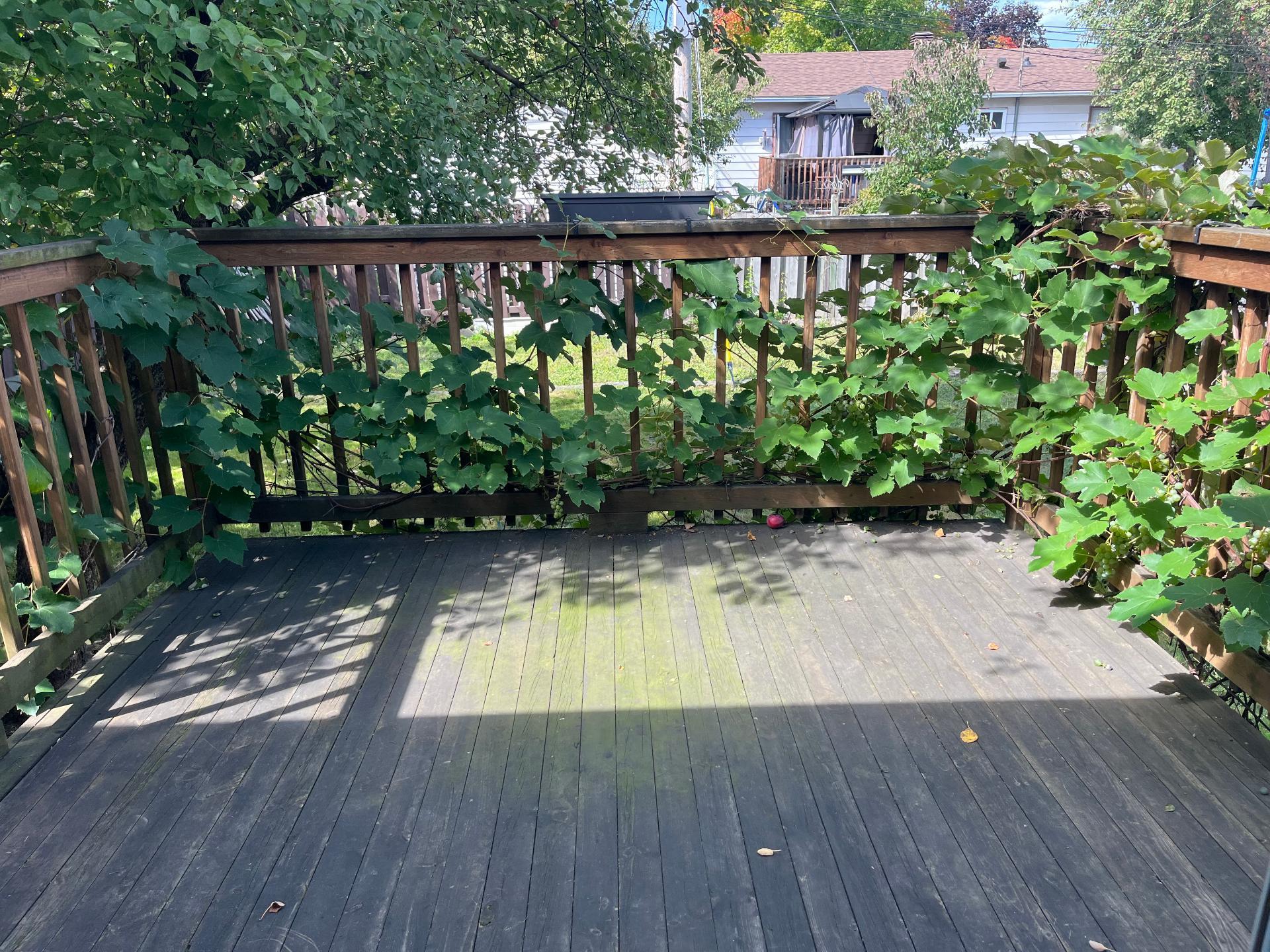 









802


Rue Maisonneuve

,
Longueuil (Saint-Hubert),




QC
J3Y7W8

