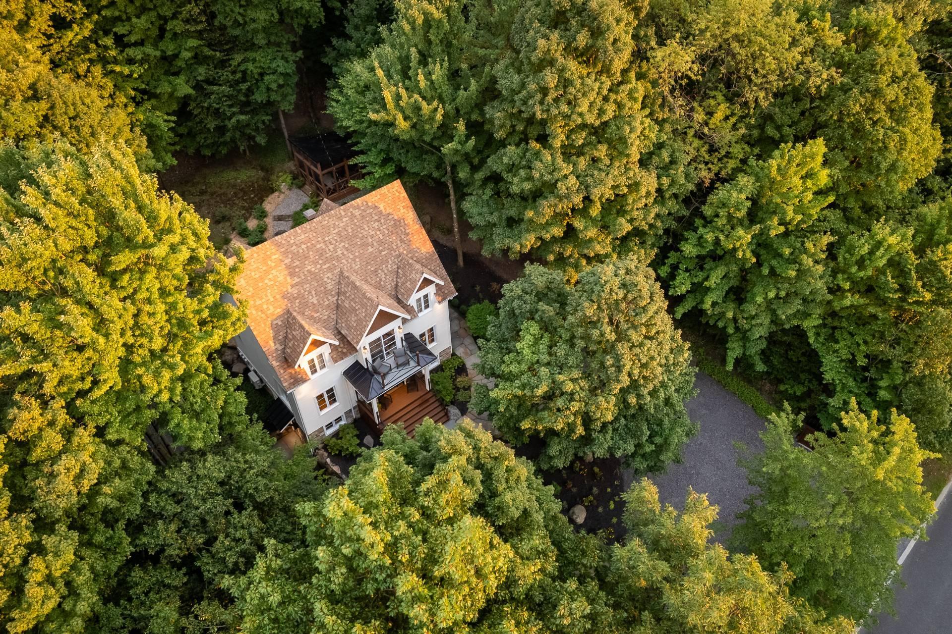 









120


Rue de Papineau

,
Bromont,




QC
J2L2E7

